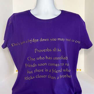 Proverbs 18:24 T-shirt